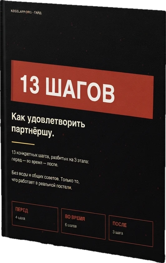 Протокол 13 шагов
