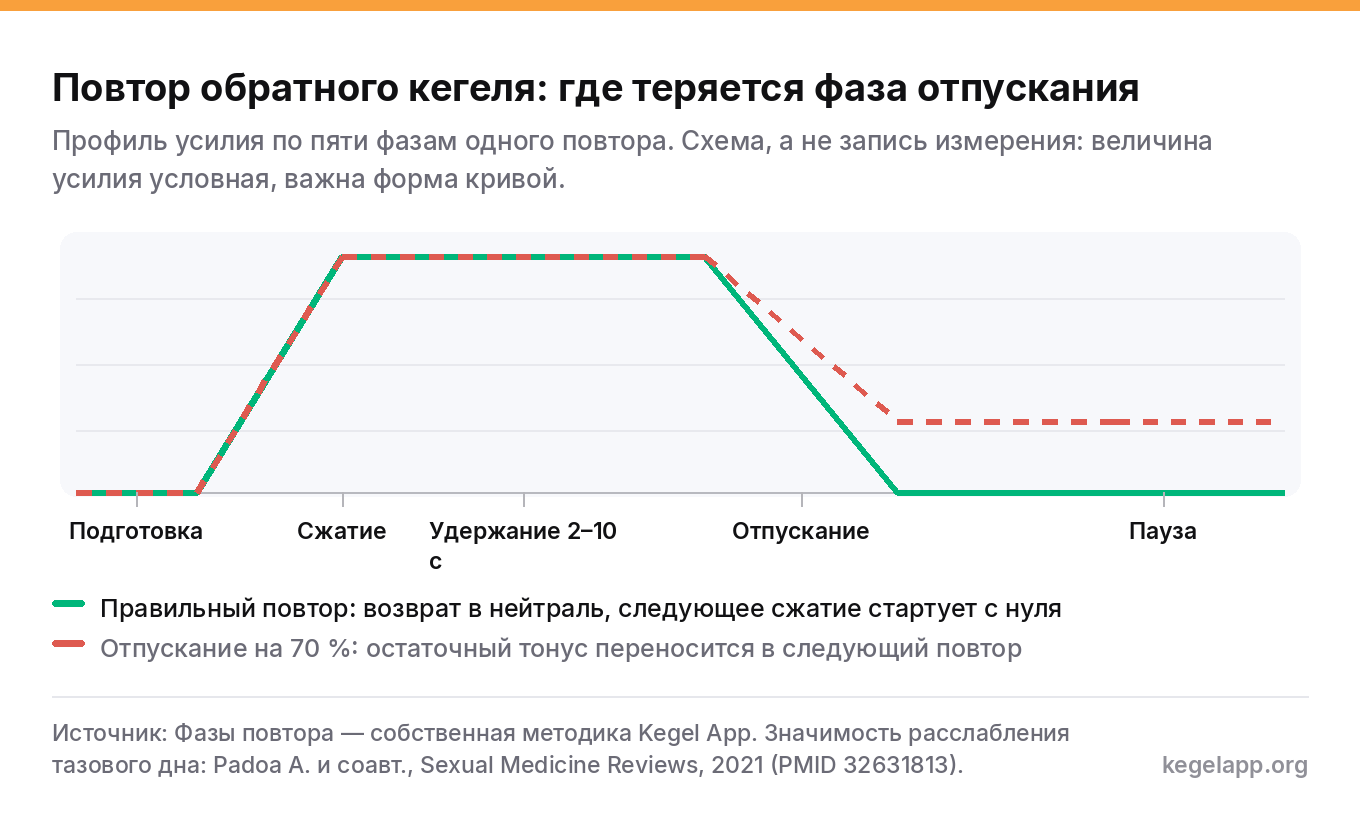 График профиля усилия в повторе обратного кегеля: сплошная линия после удержания возвращается к нулю, пунктирная останавливается на 30% и переносит остаточный тонус в следующий повтор