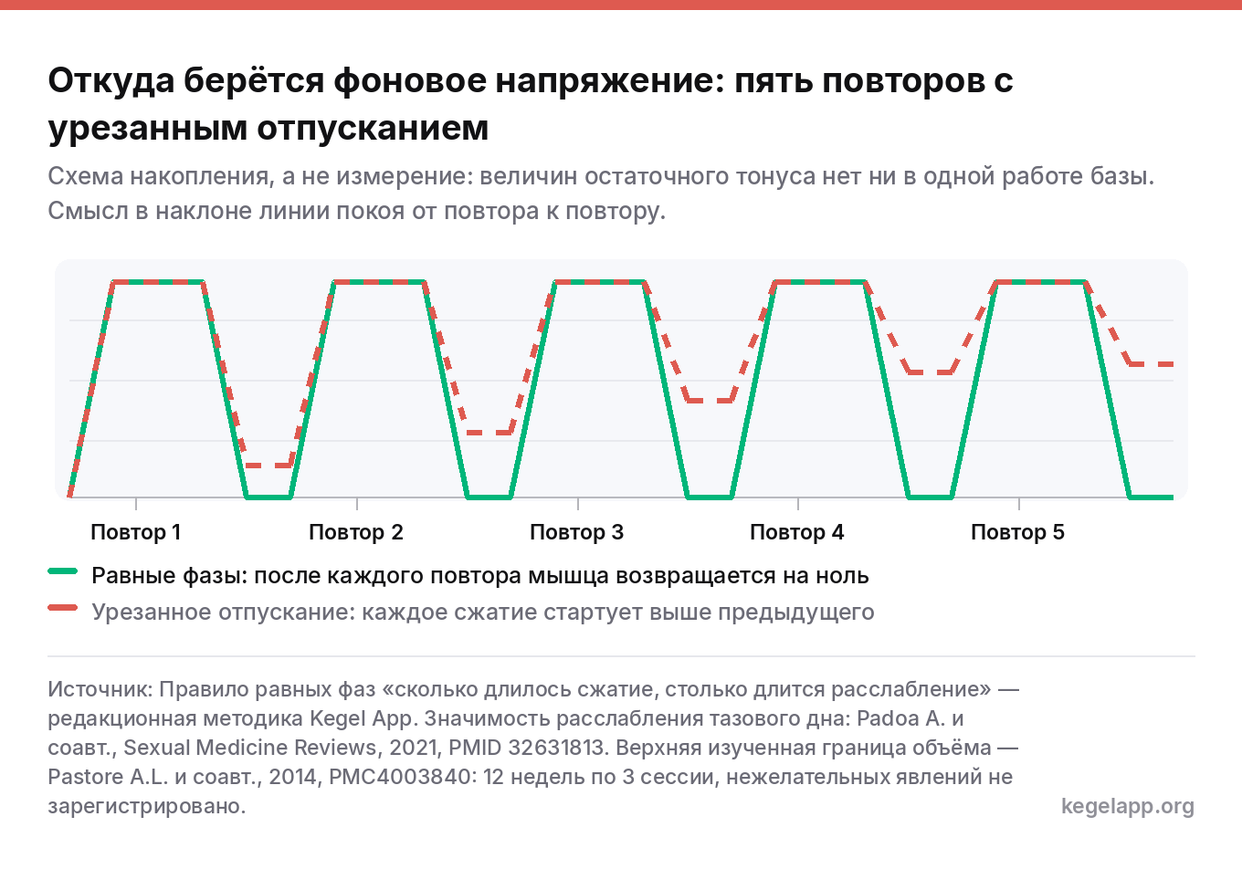 Схема накопления фонового напряжения тазового дна за серию из пяти повторов: при равных фазах линия покоя каждый раз возвращается на ноль, при урезанном отпускании она поднимается от повтора к повтору